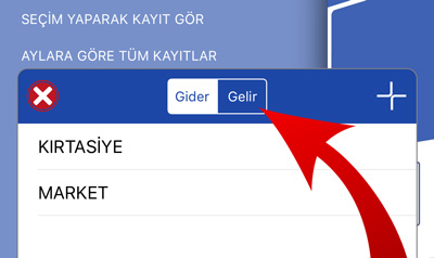Hesabım Cebimde Kategori Gelir Gider Seçimi