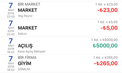 Gelir Gider Kayıt Listesi Penceresi