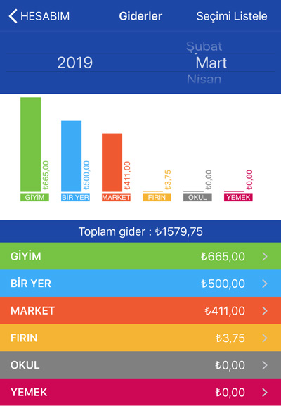 Hesabım Cebimde Gider Kayıtlarını İnceleme
